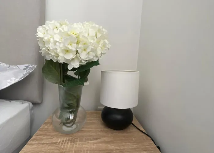 The Slane * Drogheda